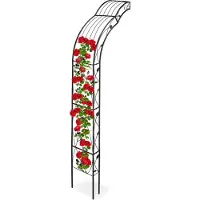 Relaxdays Arcade De Roses Demi Ronde Pour Montage Mur Treillis Plantes Grimpantes En Fer