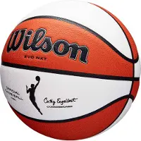 Wilson 6