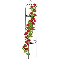 Relaxdays Aide à l'escalade (40 cm, 40 cm)