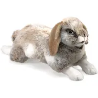 Folkmanis Lapin, Holland Lop