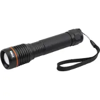 DMAX Lampe de poche TLG 301 (350 lm)