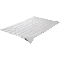 Badenia irisette Édredon de plumes Trendline Princess léger (440 g, Duvet, 155 x 220 cm)