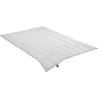 Badenia irisette 4-Jahreszeiten-Daunendecke Luna (300 g, Duvet, 200 x 200 cm)