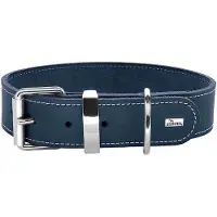 Hunter Collier Aalborg Special (Chien, Général)