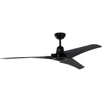 Pepeo Ventilateur Noir avec Commande murale GmbH 13542011142_WS