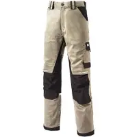 Dickies Pantalon de travail GDT Premium WD4901 (40)