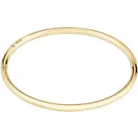 HUGO BOSS 1580686 Bracelet Doré Femme