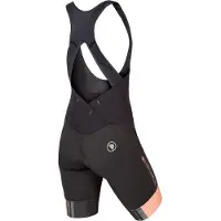 Endura Fs260-pro Bib Shorts Noir L Femme