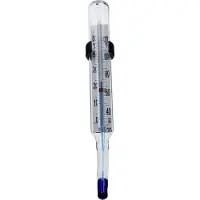 Kaiser Tray Thermometer Clair