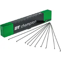 Dt Swiss Champion M Spokes 100 Units Noir 250 mm