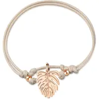 Ailoria jungle, (24 cm, Acier inoxydable)
