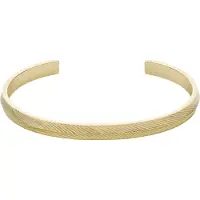 Fossil Bracelet or