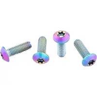 Wolf Tooth Titanium Low Profile Bottle Cage Screws 4 Units Argenté