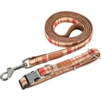 Zolux Corde IMAO SCOTT 25 mm (Chien, Général)