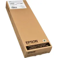 Epson T8009 cartouche d'encre 1 pièce(s) Original Gris