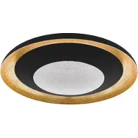 Eglo Canicosa 2, LED, 4600 lm, IP20, noir, or, transparent