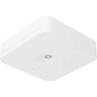 Fischer lampe de sécurité fischer EB 1/3/8h 1W IP20 SLM-D31USC (SLM-D31USC)