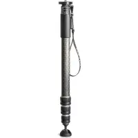 Gitzo Monopode GM4542 Carbone eXact Série 4
