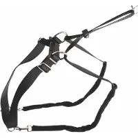 Kerbl Harnais d'éducation MAXI LEADER, taille 2, noir