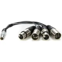 Atomos câble breakout LEMO 10 broches vers XLR pour Shogun