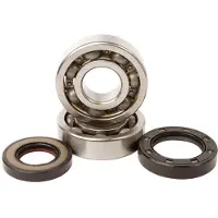 Hotrods Honda Atc 250r 85-86/trx 250r 86-89 Crank Shaft Bearing Kit Argenté