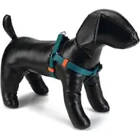 Beeztees BZ NY GESCH VERT FONCÉ 26-4 (Chien, Général)