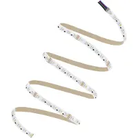 Ledvance Rubans LED Performance 1000 98W 6655lm 24v - 865 Lumière du Jour | 5M/12mm - RGBW