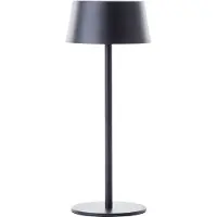 Brilliant Lampe solaire d'extérieur noire PICCO | rechargeable par énergie solaire et USB | 4W 300lm 3000K | métal/plastique