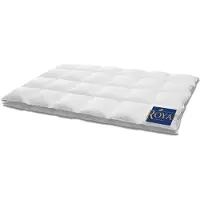 HANSKRUCHEN GmbH HANSKRUCHEN Royal couette en duvet 240x200 cm légère 100% duvet d'oie lavable pour personnes allergiques respirante blanche