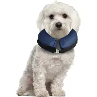 Karlie Collier De Chien Inflatable