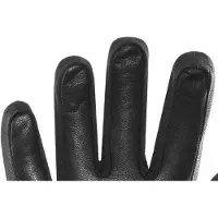 Zanier Gloves L
