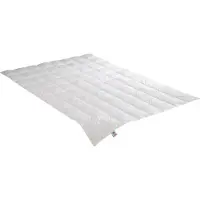 Badenia irisette Couette en duvet Edda légère (270 g, Duvet, 200 x 200 cm)