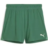 Puma Femmes, Bas de sport, teamGOAL Short de Handball W (XL), Vert