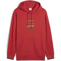 Puma Sweat à Capuche Road To Unity Graphic