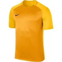 Nike Dry Trophy Iii Short Sleeve T-shirt Jaune M Homme