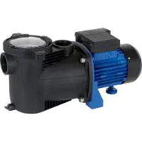 T.I.P. SPP 300 F Pompe de filtration pour piscine