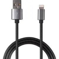 2GO 795810 Câble USB B Lightning (1 m)