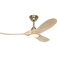 CasaFan 312275 ECO GENUINO-L ventilateur de plafond avec lumière 122cm MG-NT