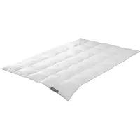 Badenia irisette Édredon de plumes Trendline Princess medium (890 g, Duvet, 155 x 220 cm)