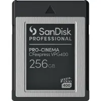 SanDisk - Carte mémoire flash - 256 Go - CFexpress type B - noir