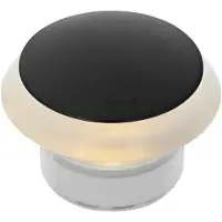 In-Lite Indication du projecteur en retrait Puck Dark LED 12 volts