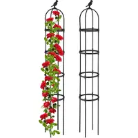 Relaxdays Support pour plantes grimpantes (30 cm, 30 cm)
