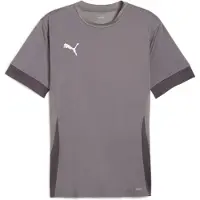 Puma Teamgoal Matchday Maillot Hommes Manches Courtes - Gris