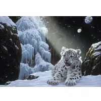 Grafika Puzzle Schim Schimmel Ice House 1000 pièces Carton