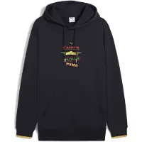 Puma Sweat à Capuche Road To Unity Graphic
