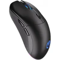 Endorfy Souris de Jeu - - GEM Plus - Sans Fil - 26000 DPI - Éclairage RVB