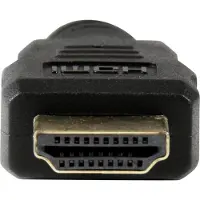 StarTech.com Câble HDMI vers DVI de 5 m - Convertisseur HDMI vers DVI-D - M/M - câble vidéo - HDMI / DVI - 5 m