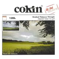 Cokin X125L Filtre dégradé tabac 2 light (Filtre dégradé gris), Filtre photo, Marron