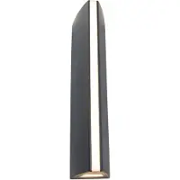 Lutec Applique murale d'extérieur LED LEO anthracite 30x6,5cm 5192701335 Eco-Light