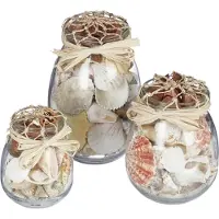 Relaxdays Décoration coquillages, lot de 3, mélange de vrais coquillages, bocaux de différentes tailles, style marin, décoration de salle de bain, naturel